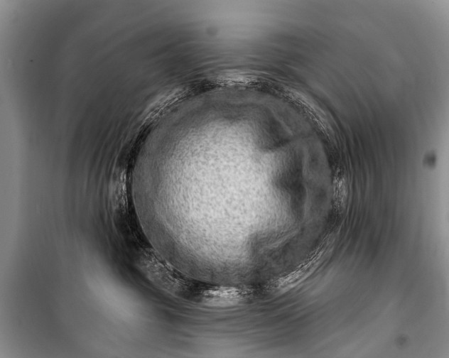 X0000100960381200807011338