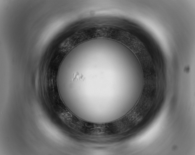 X0000100960382200807011338