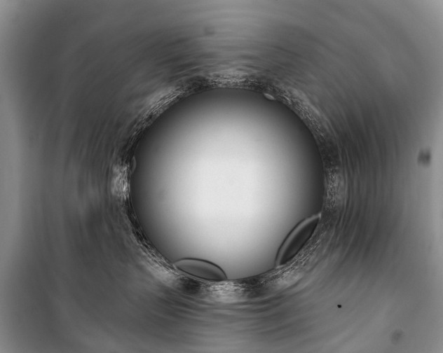 X0000100960383200807011338