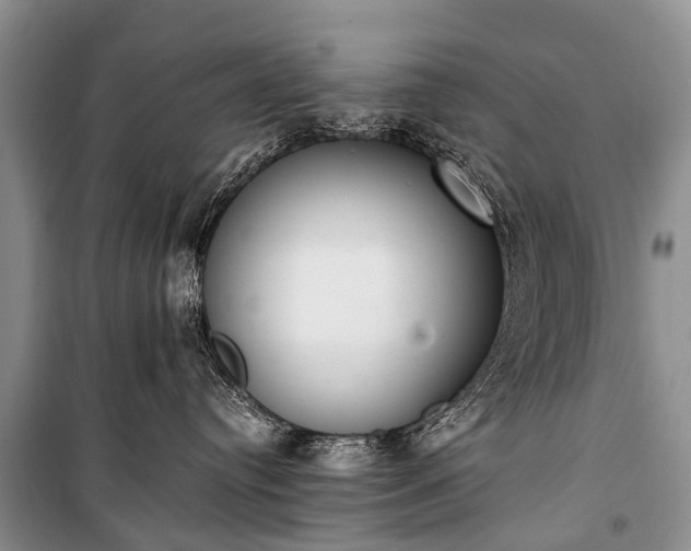 X0000100960384200807011338