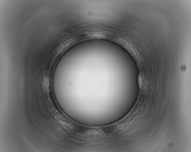 X0000100960386200807011337