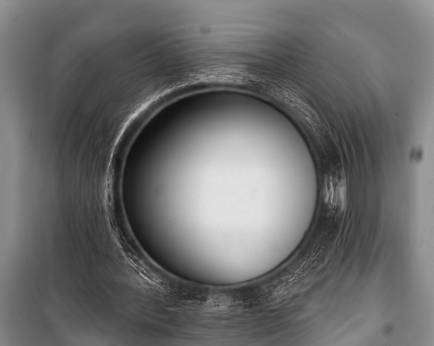 X0000100960388200807011337