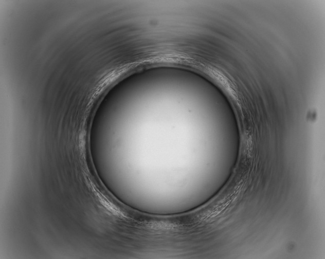 X0000100960389200807011337