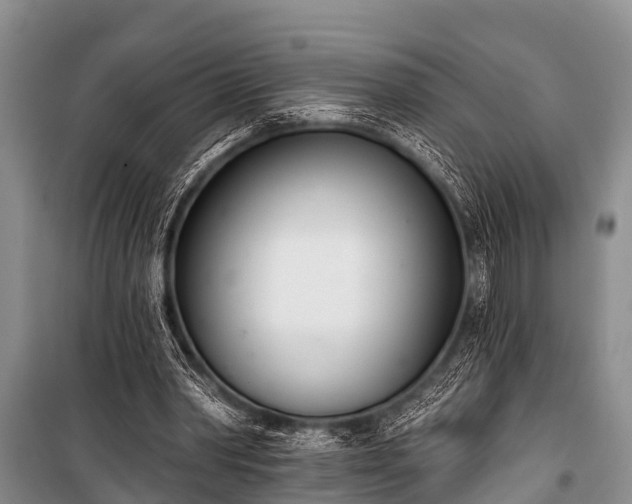 X0000100960390200807011337