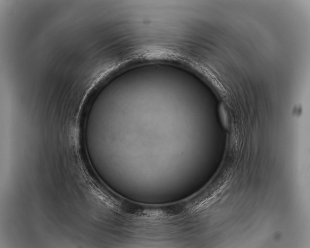 X0000100960391200807011337