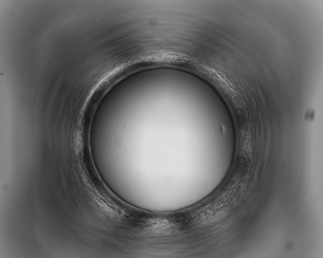 X0000100960392200807011337