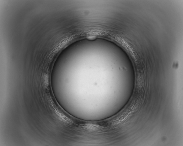 X0000100960393200807011337