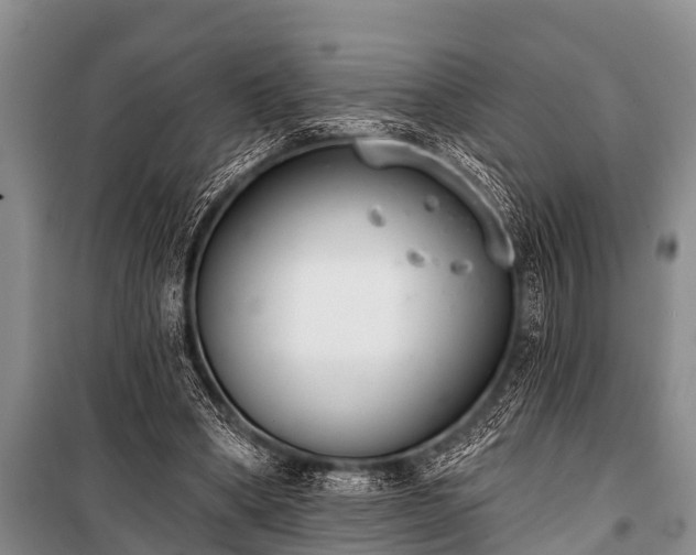 X0000100960394200807011337