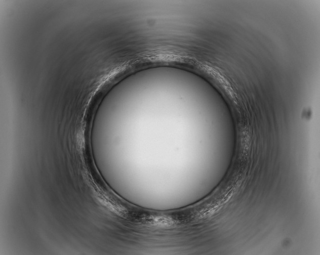 X0000100960395200807011337