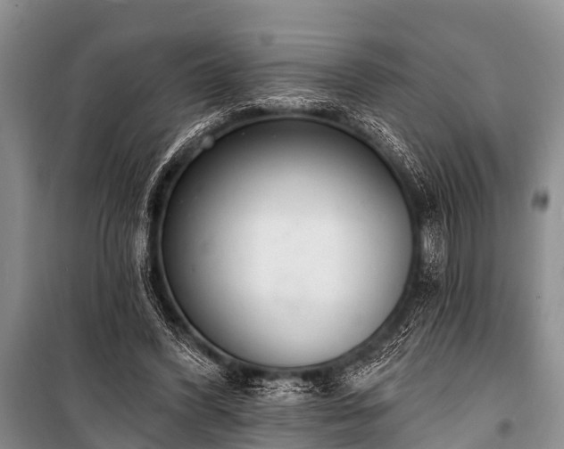 X0000100960396200807011337
