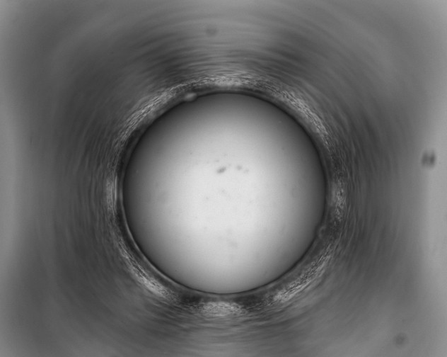 X0000100960397200807011337