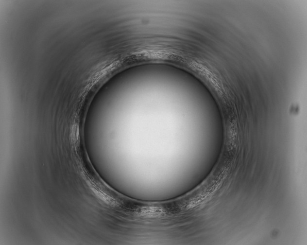 X0000100960398200807011337