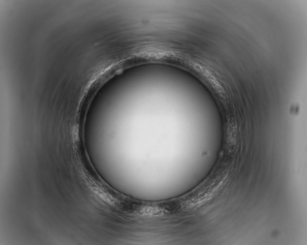 X0000100960399200807011337