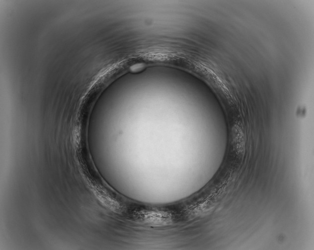 X0000100960400200807011337