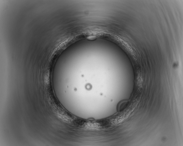 X0000100960403200807011337