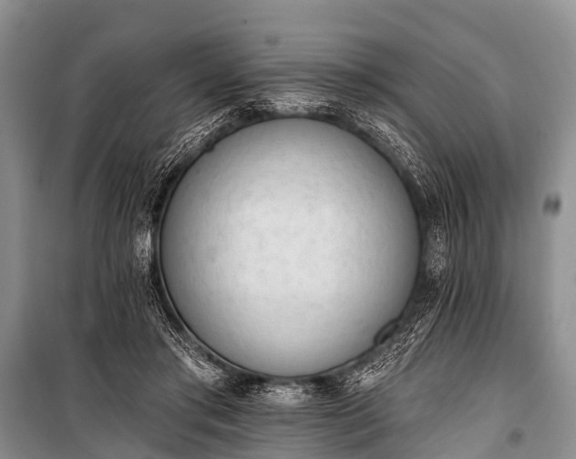 X0000100960405200807011337