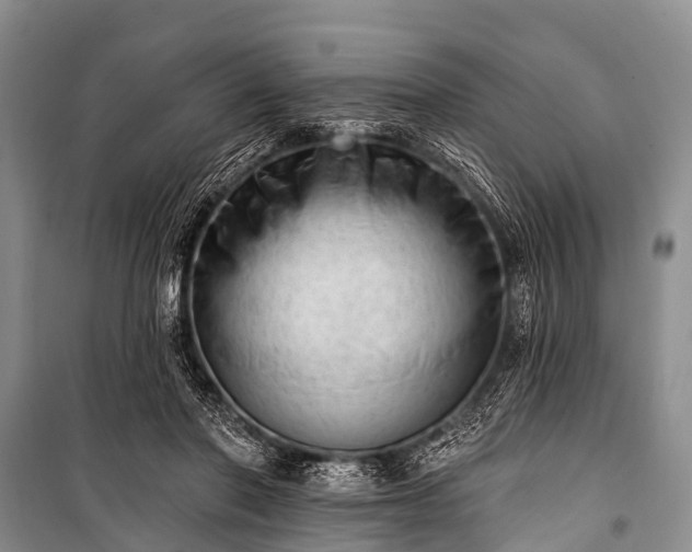 X0000100960406200807011337