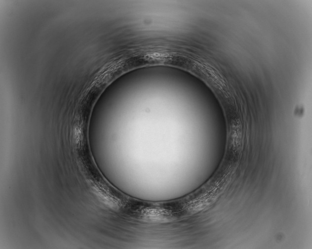 X0000100960408200807011337