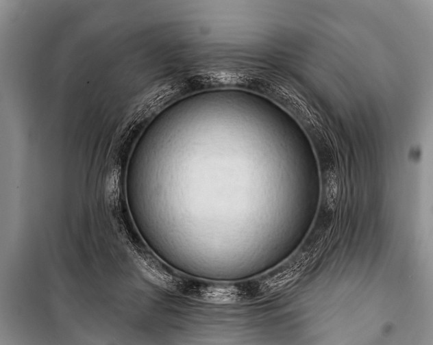 X0000100960410200807011337