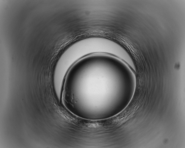 X0000100960411200807011337