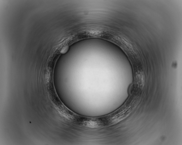 X0000100960412200807011337