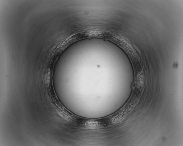 X0000100960413200807011337