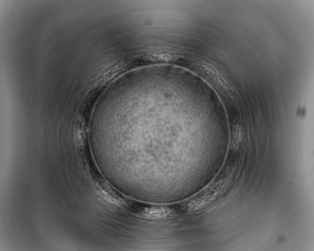 X0000100960414200807011337