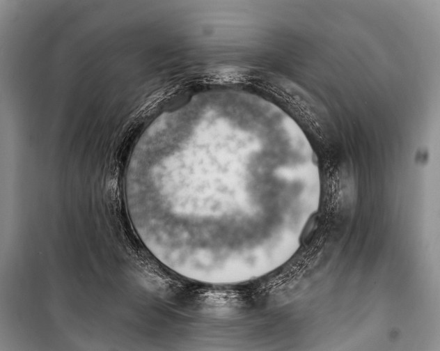 X0000100960415200807011337
