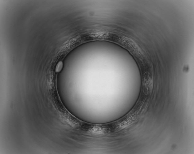 X0000100960416200807011337