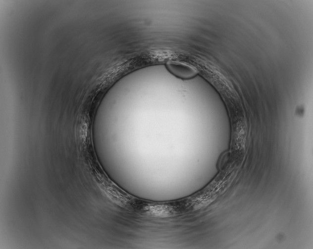 X0000100960417200807011337