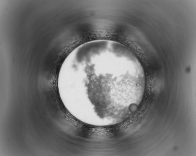 X0000100960419200807011337