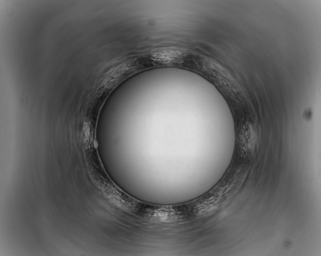 X0000100960420200807011337