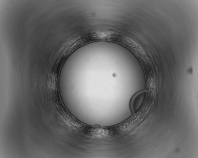 X0000100960421200807011337