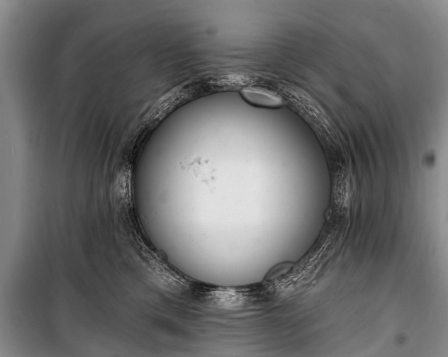 X0000100960425200807011337