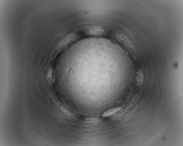 X0000100960428200807011337