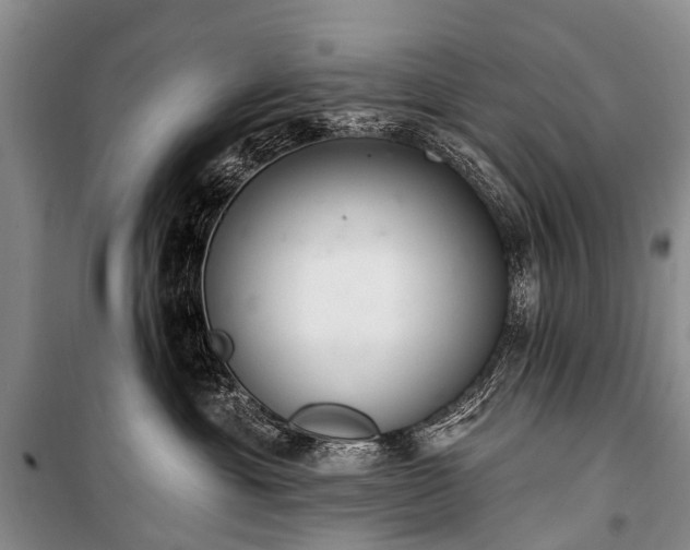 X0000100960429200807011337