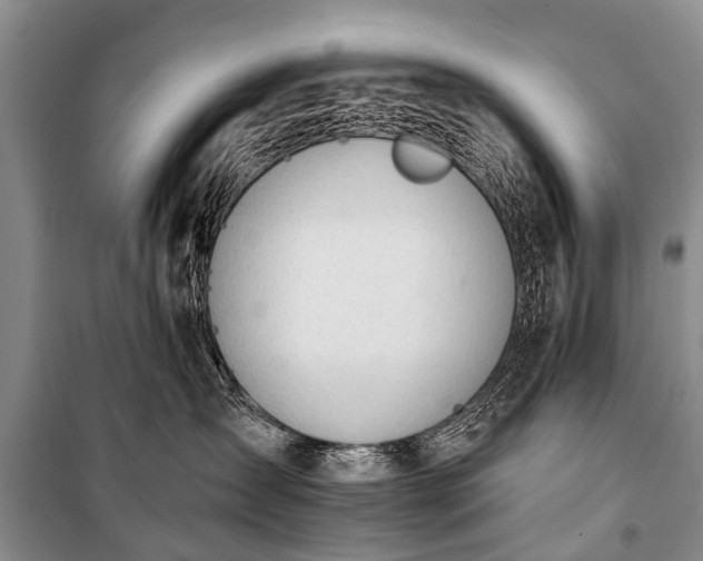X0000100960431200807011337