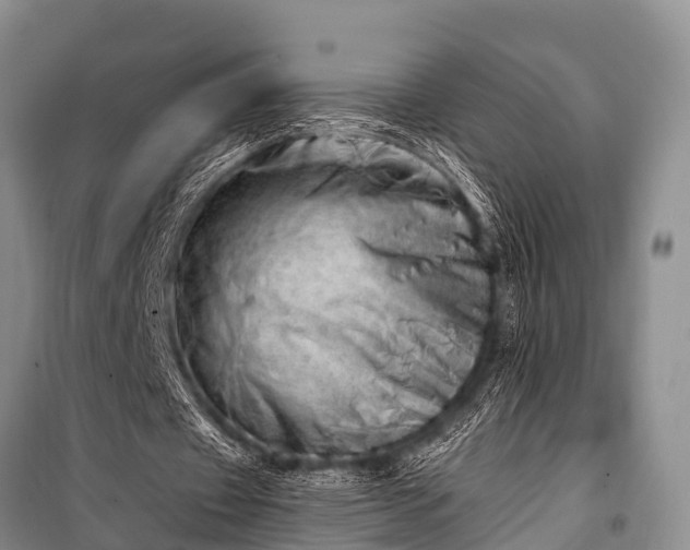 X0000100960433200807011336