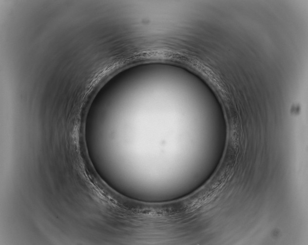 X0000100960434200807011336