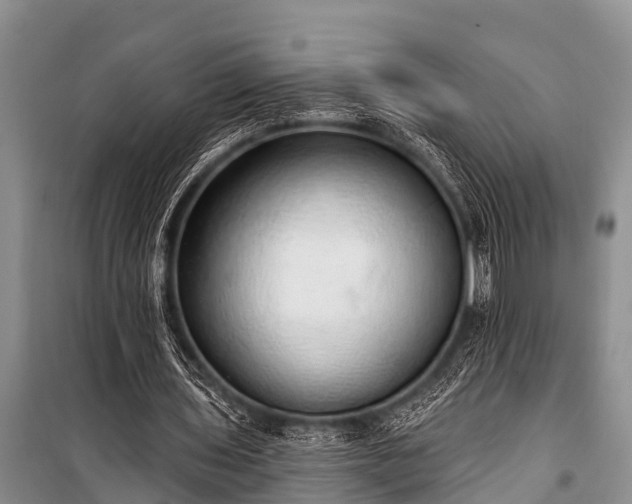 X0000100960435200807011336