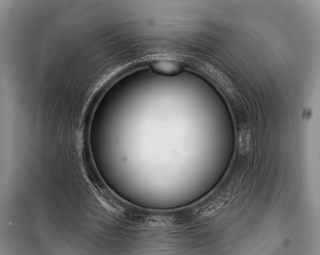 X0000100960436200807011336
