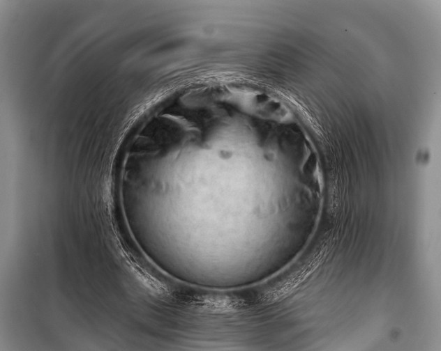 X0000100960439200807011336