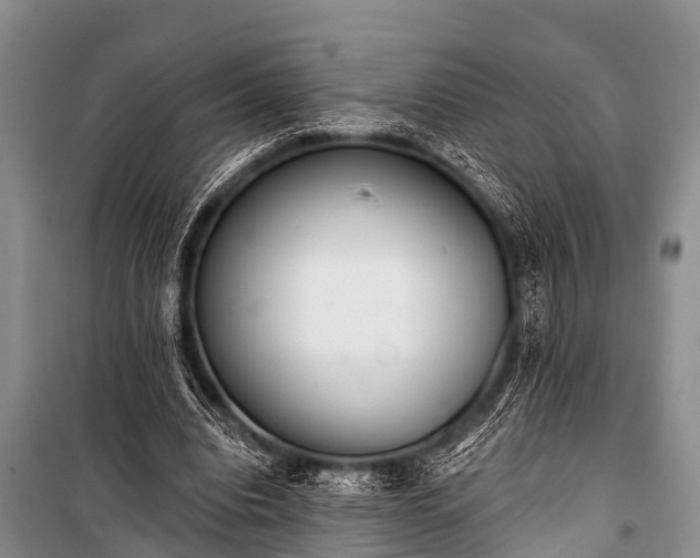 X0000100960440200807011336