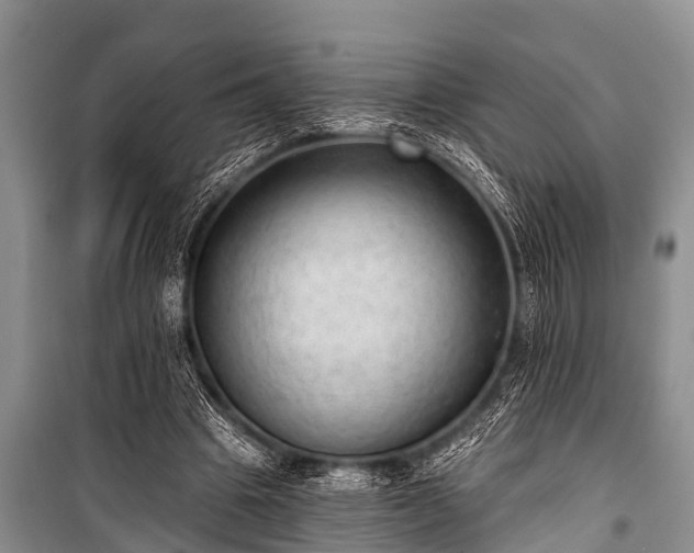 X0000100960441200807011336