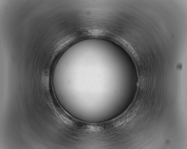X0000100960442200807011336