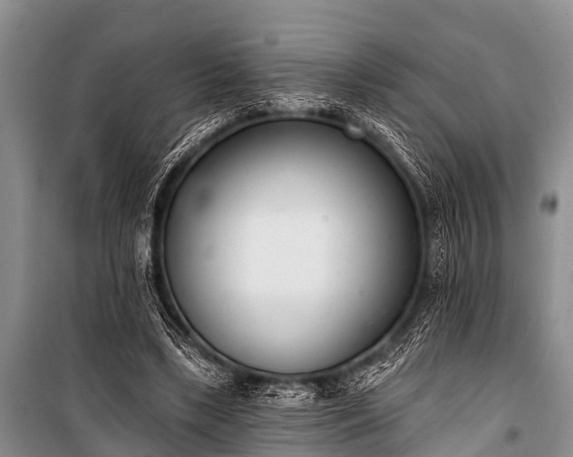 X0000100960443200807011336