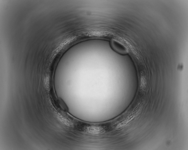 X0000100960444200807011336
