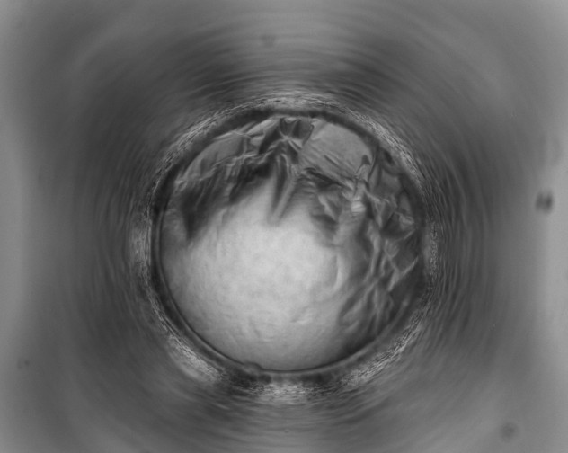 X0000100960445200807011336
