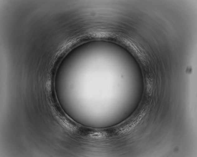X0000100960447200807011336