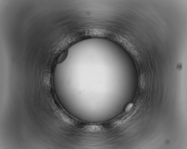 X0000100960449200807011336